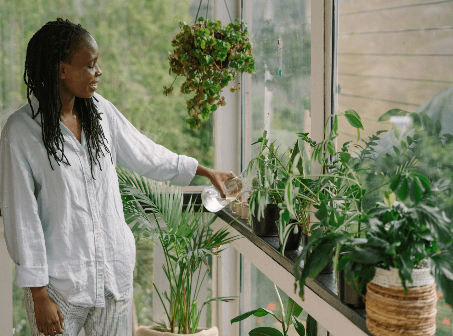 How To Choose The Best Indoor Plants
