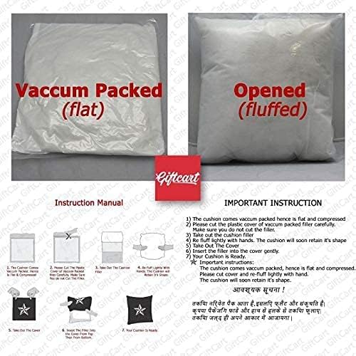 Chiristmas car velvet cushion