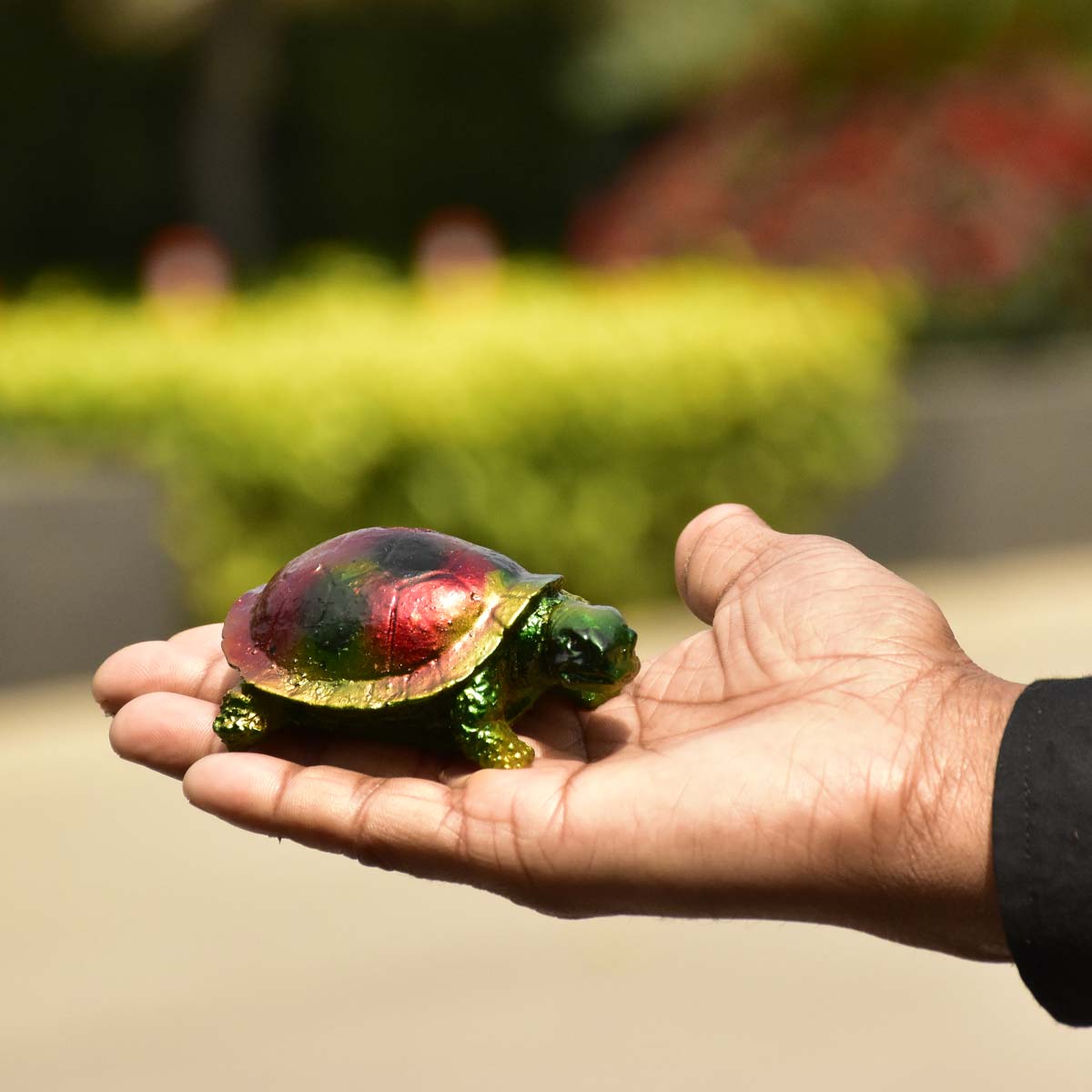 Vastu Feng Shui Green Tortoise