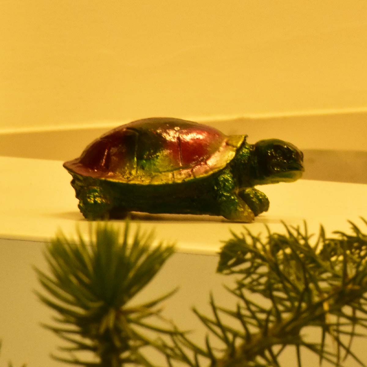 Vastu Feng Shui Green Tortoise
