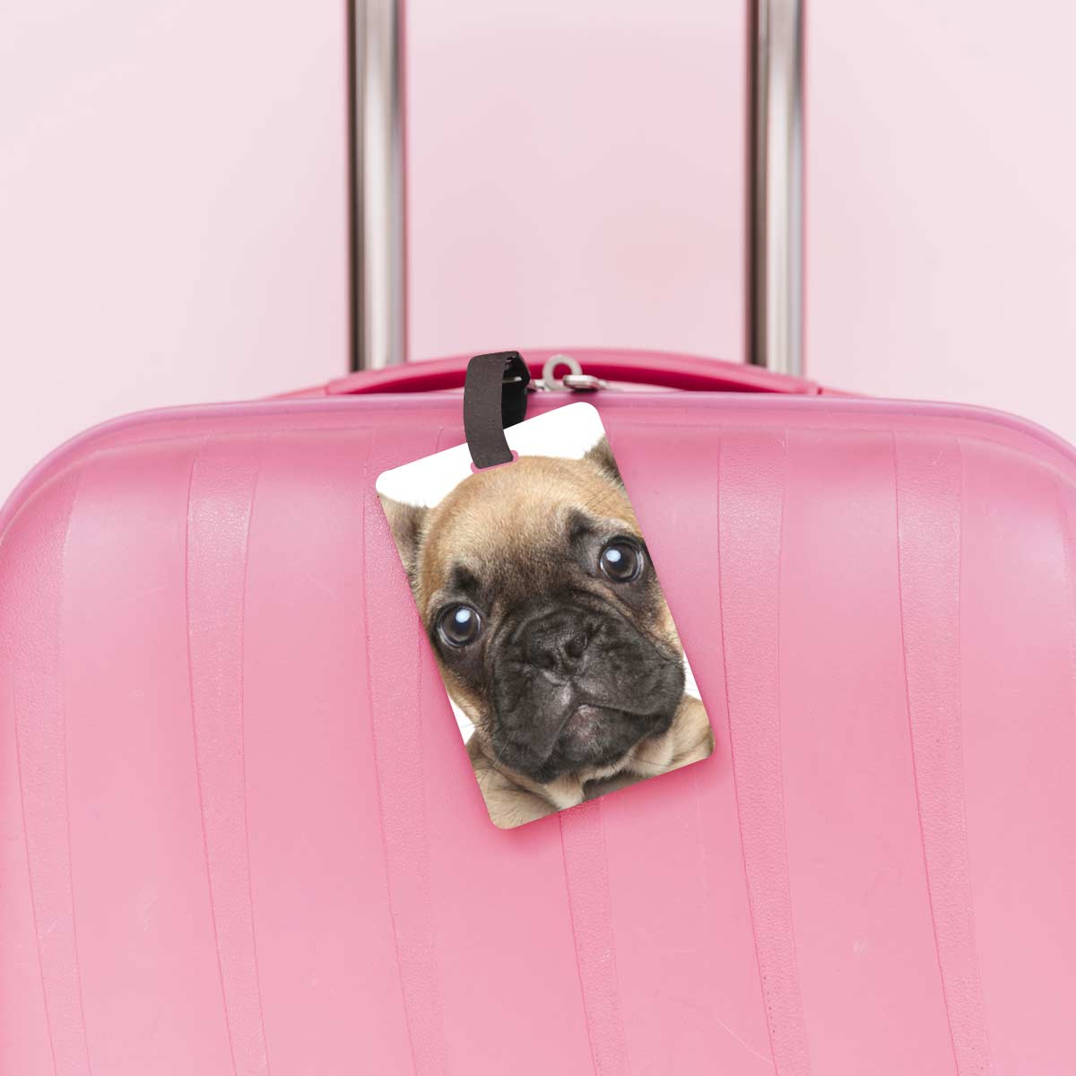 Personalised Pet Face Luggage Tag