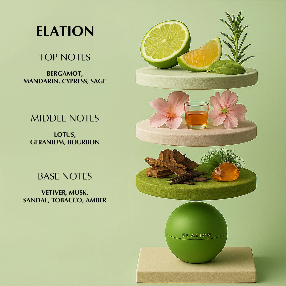 Elation Perfume for Men