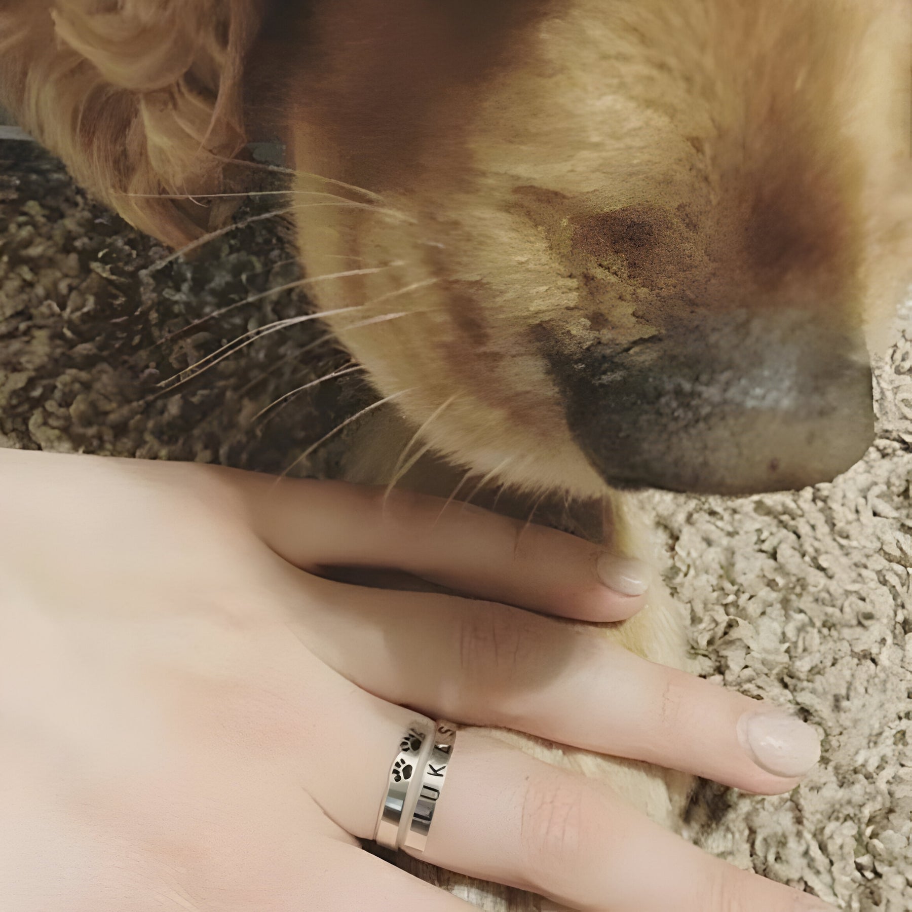 Personaised Engraved Pet Lovers Ring