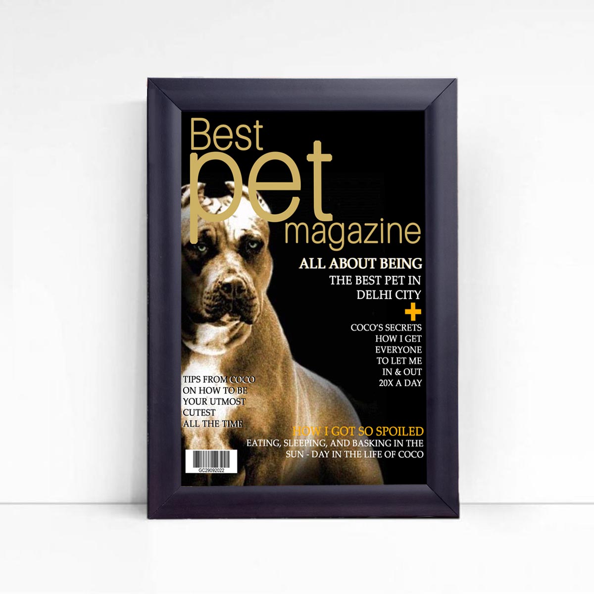 Personalised Best Pet Magazine Cover