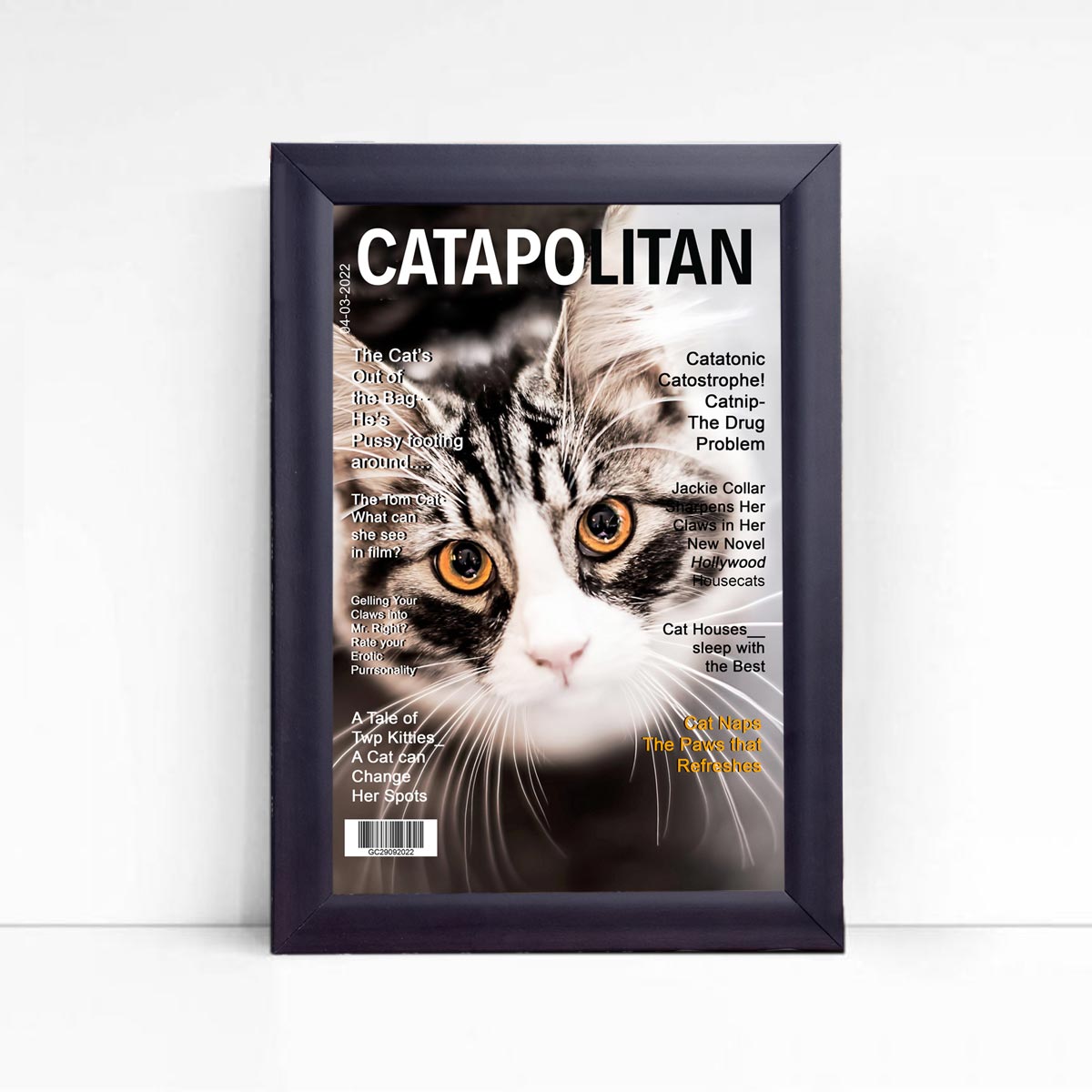 Personalised Catapolitan Magazine Cover
