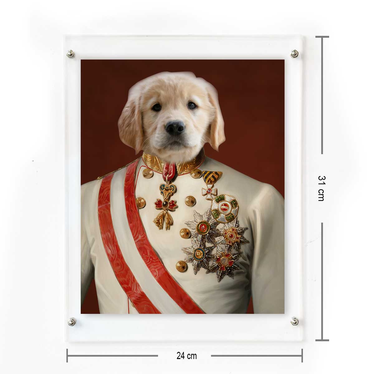 The Admiral Pet Digital Portrait Photo Frame