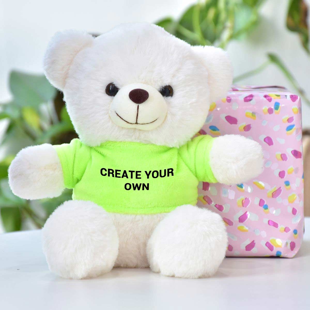 Create Your Own Teddy with T-Shirt