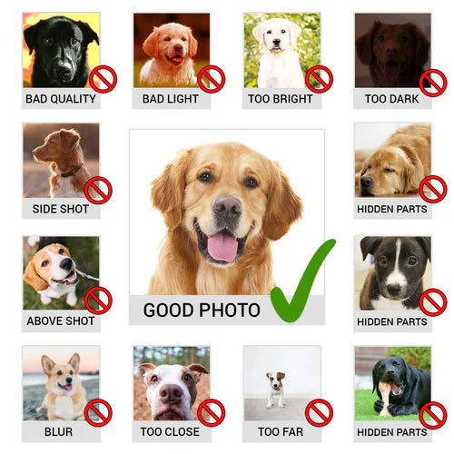 The King Pet Digital Portrait Photo Frame