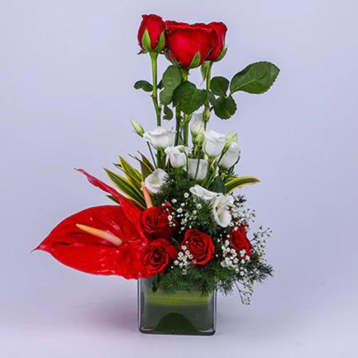 Ravishing Red Roses and Anthurium Vase Arrangement