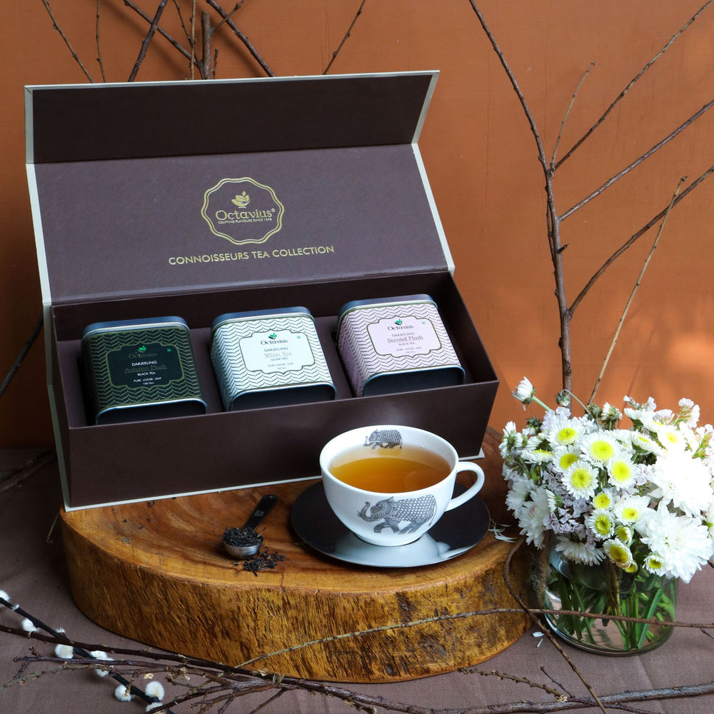 India'S Finest Octavius Teas Collection-1