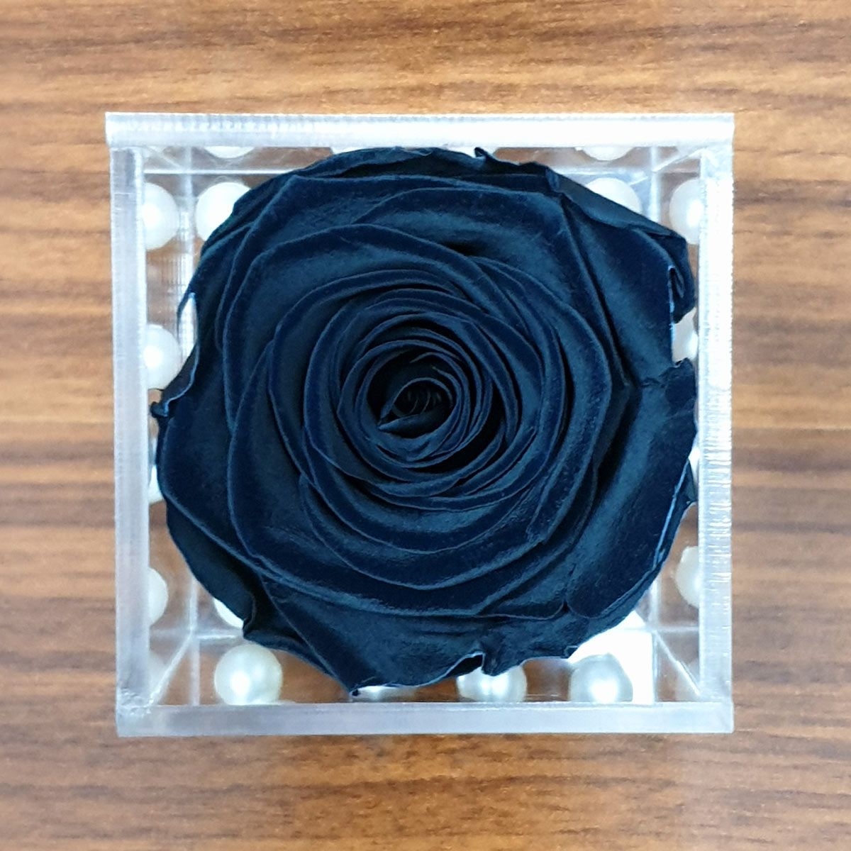 Real Preserved Forever Rose Black Online | Long Lasting Flower - Giftcart-4