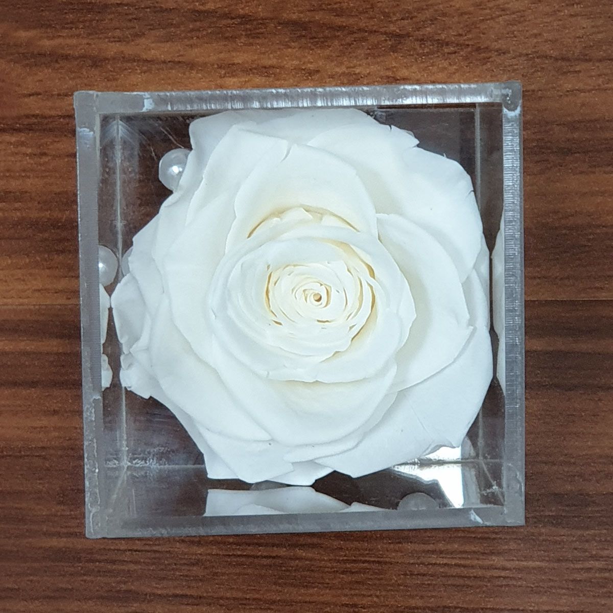 Real Preserved Forever Rose White Online | Long Lasting Flower - Giftcart