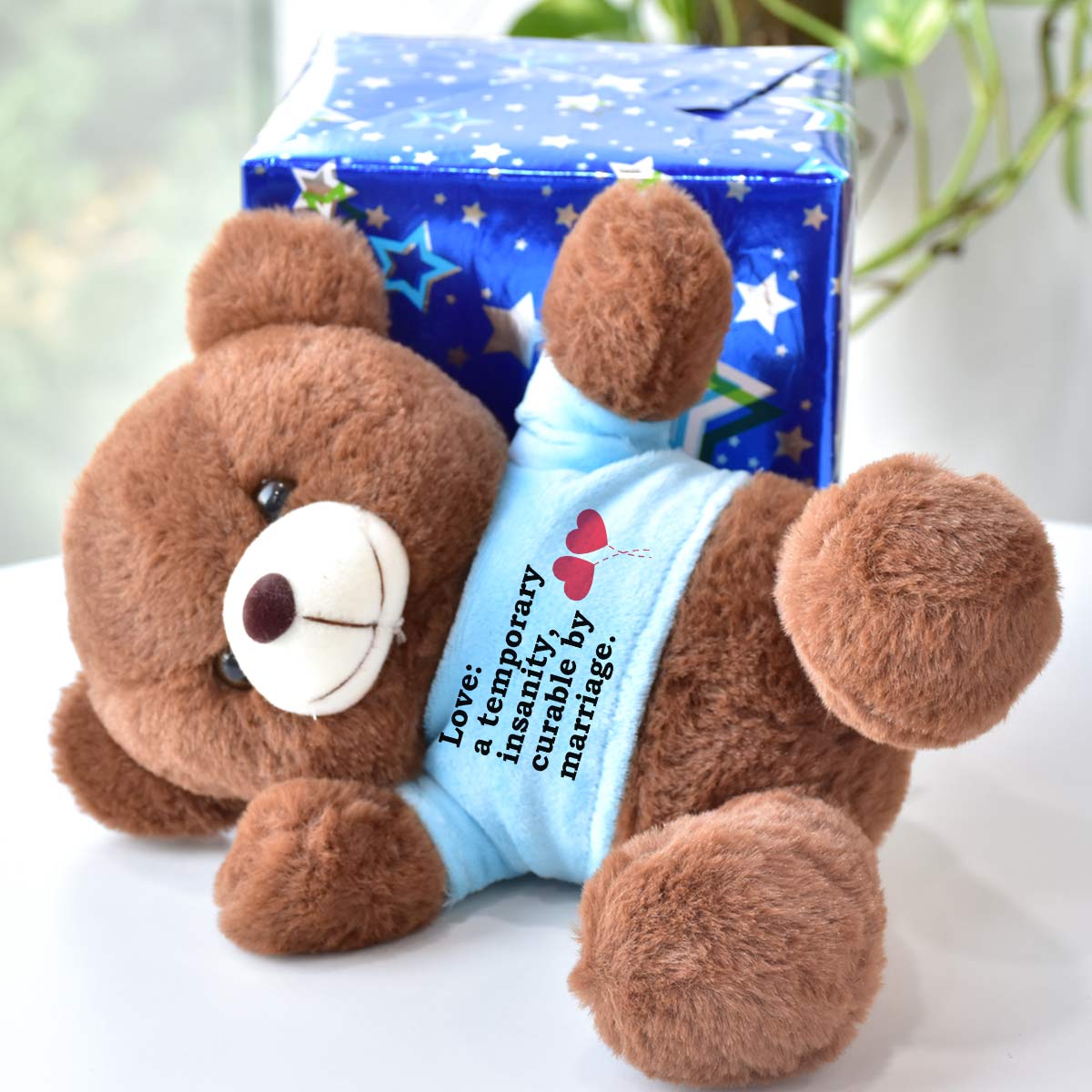 Love: A Temporary Insanity Teddy Bear Gift for Couple-2