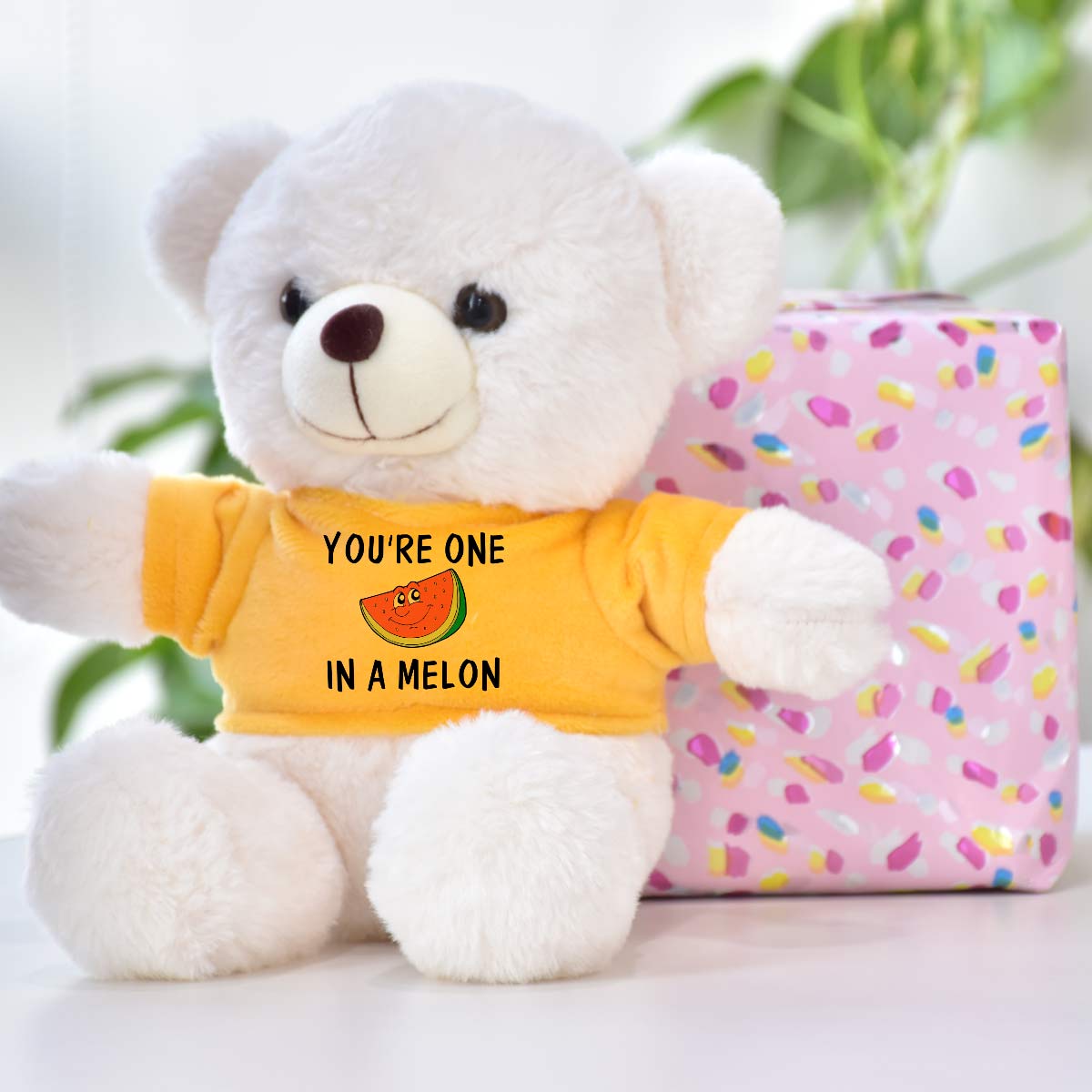You are One in Melon Teddy Bear Gift for Couple-1