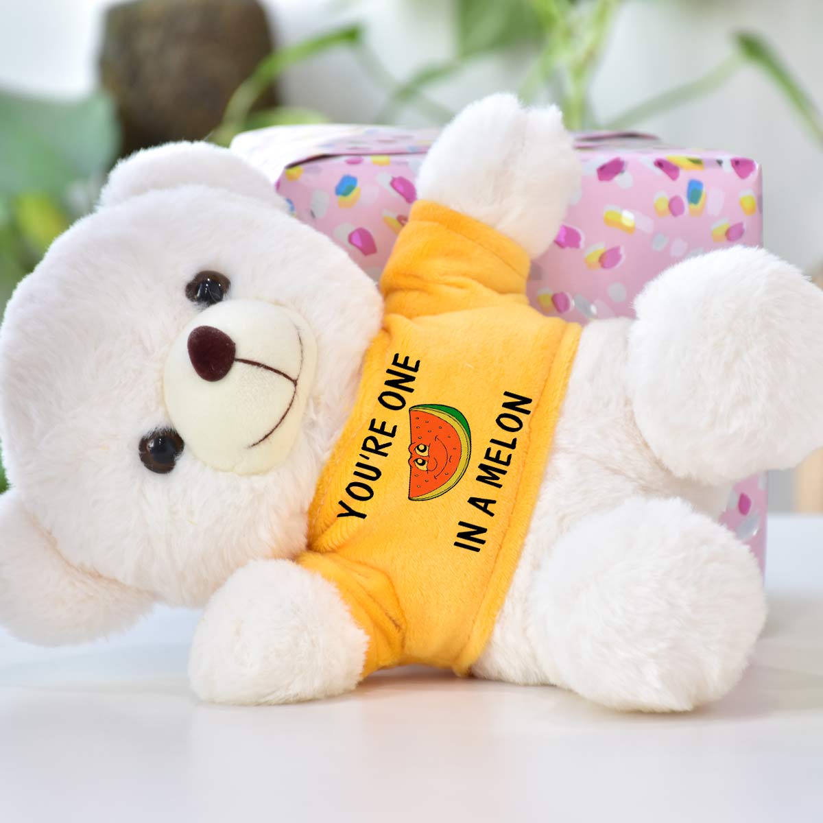 You are One in Melon Teddy Bear Gift for Couple-2