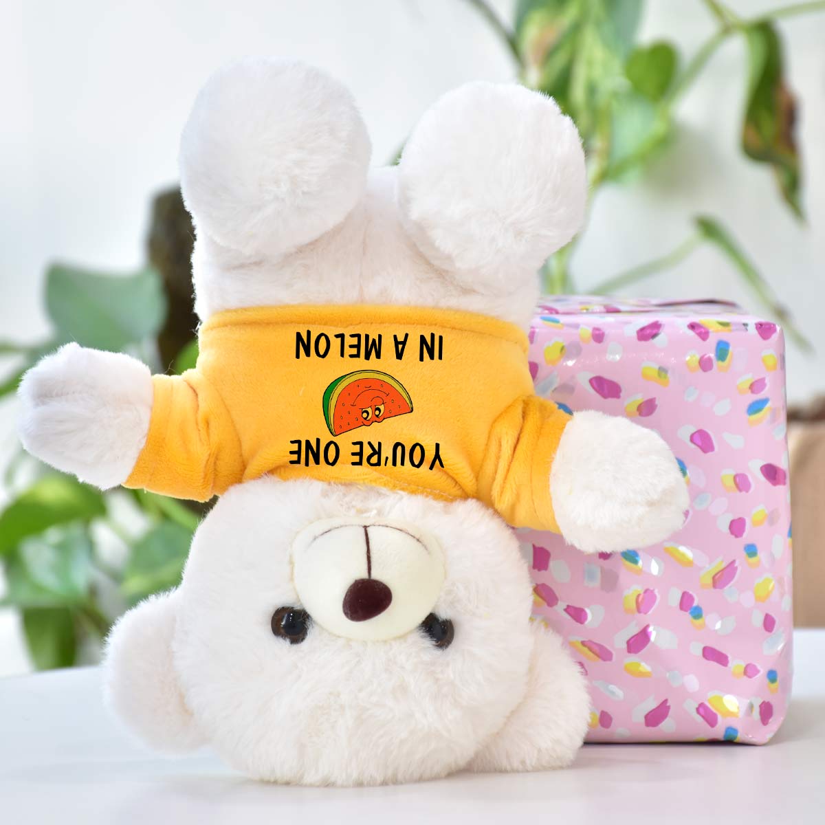 You are One in Melon Teddy Bear Gift for Couple-3