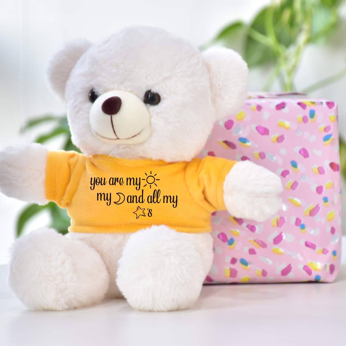 You are My Sun, Moon and Stars Teddy Bear for Couple-1