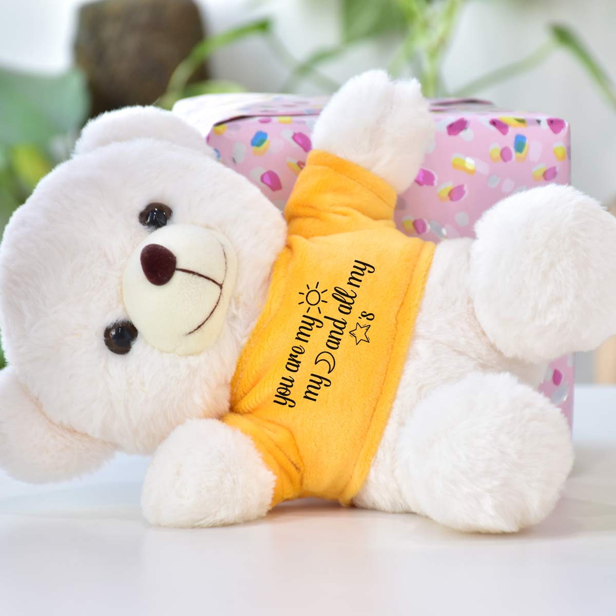 You are My Sun, Moon and Stars Teddy Bear for Couple-2