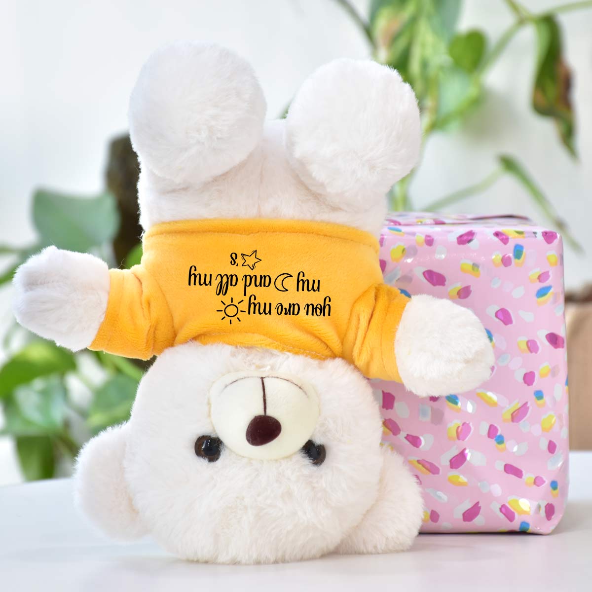 You are My Sun, Moon and Stars Teddy Bear for Couple-3