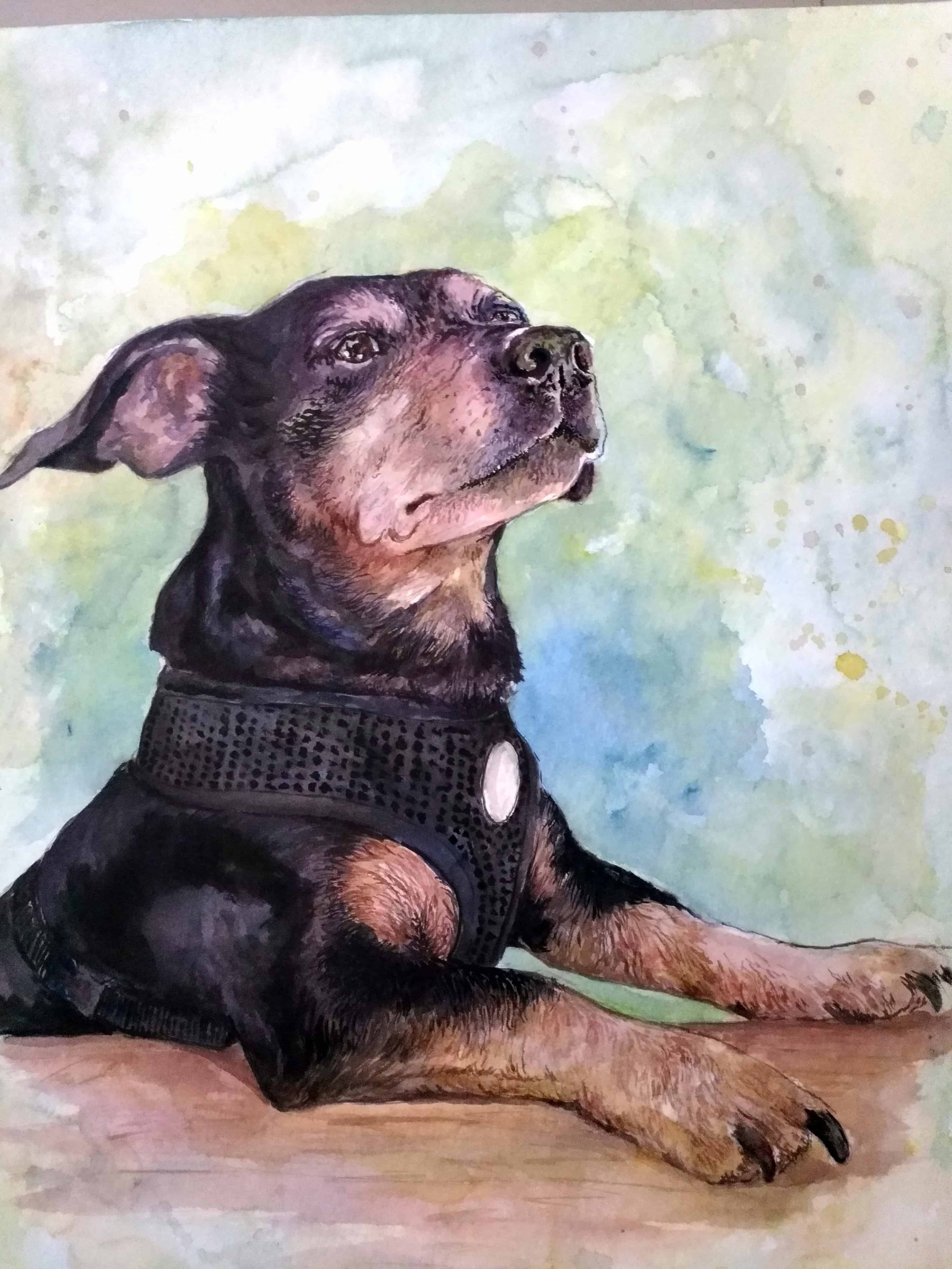 Pet Watercolor Painting From Photo-2