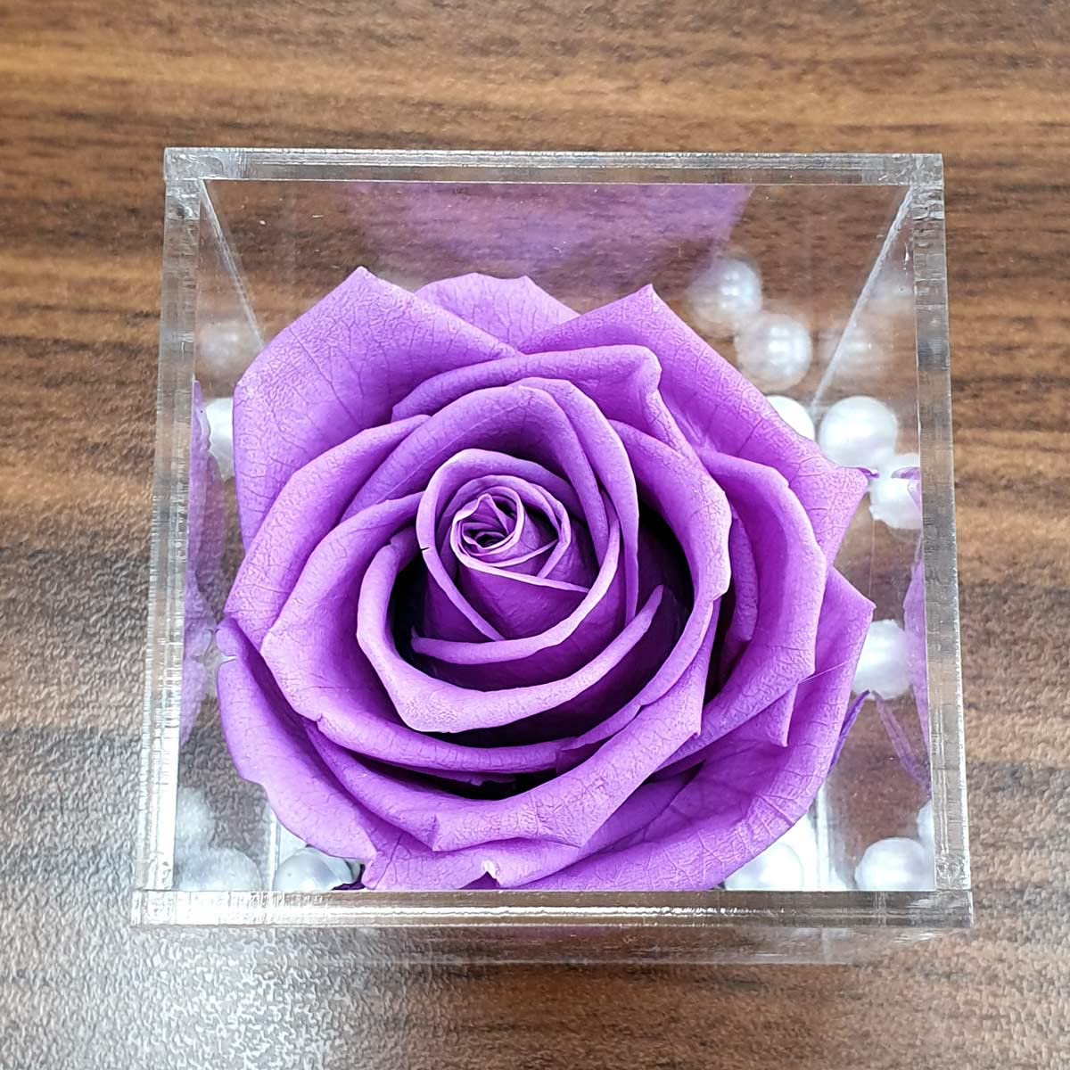 Real Preserved Forever Rose Lavender Online | Long Lasting Flower - Giftcart-3