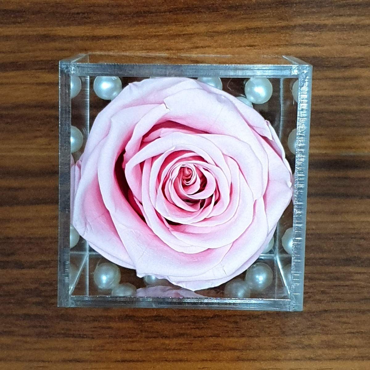 Real Preserved Forever Rose Light Pink Online | Long Lasting Flower - Giftcart-3