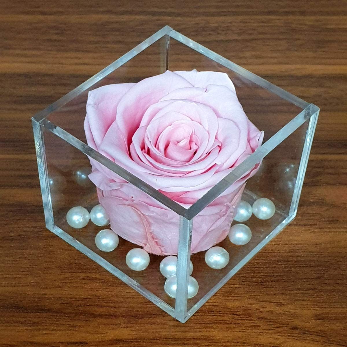Real Preserved Forever Rose Light Pink Online | Long Lasting Flower - Giftcart-5