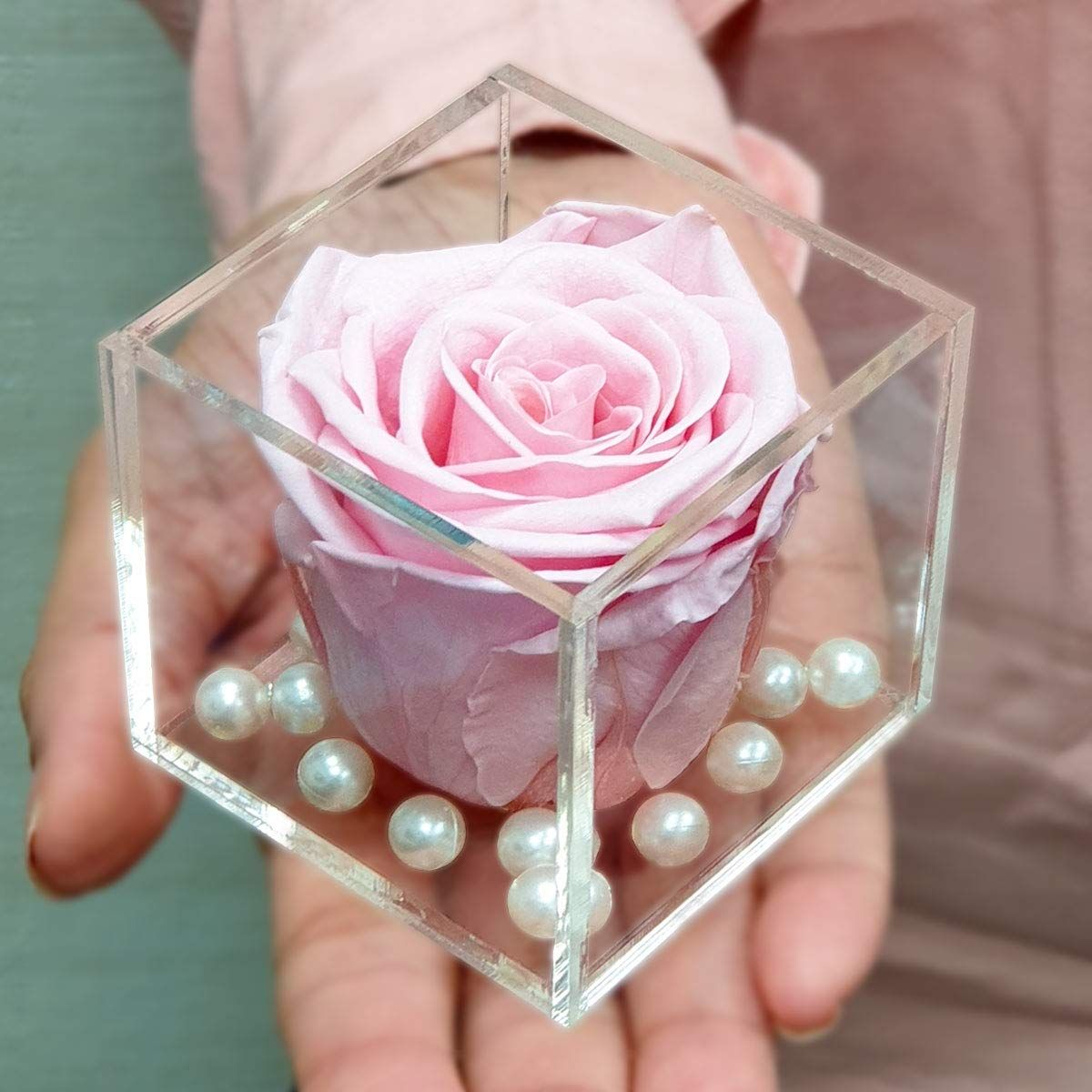 Real Preserved Forever Rose Light Pink Online | Long Lasting Flower - Giftcart-1