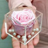 Real Preserved Forever Rose Light Pink Online | Long Lasting Flower - Giftcart-1