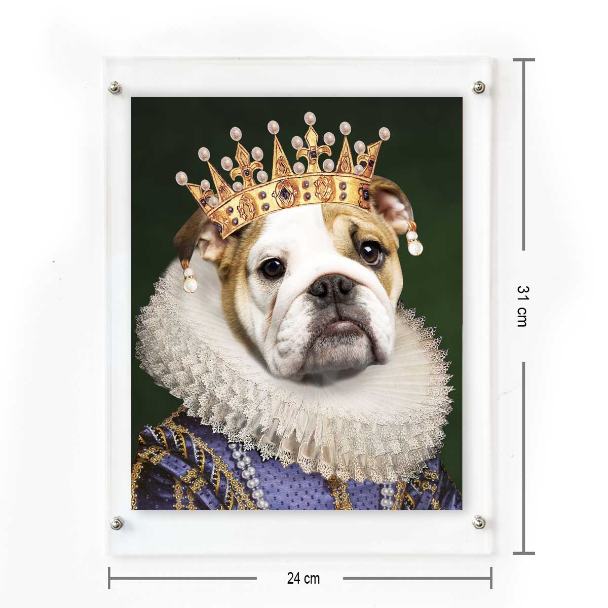 The Royal King Pet Digital Portrait Photo Frame