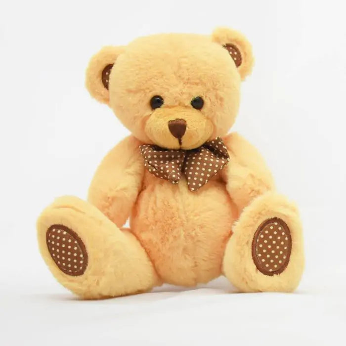 Cuddly N Sweet Love Teddy Bear Gift for Couple