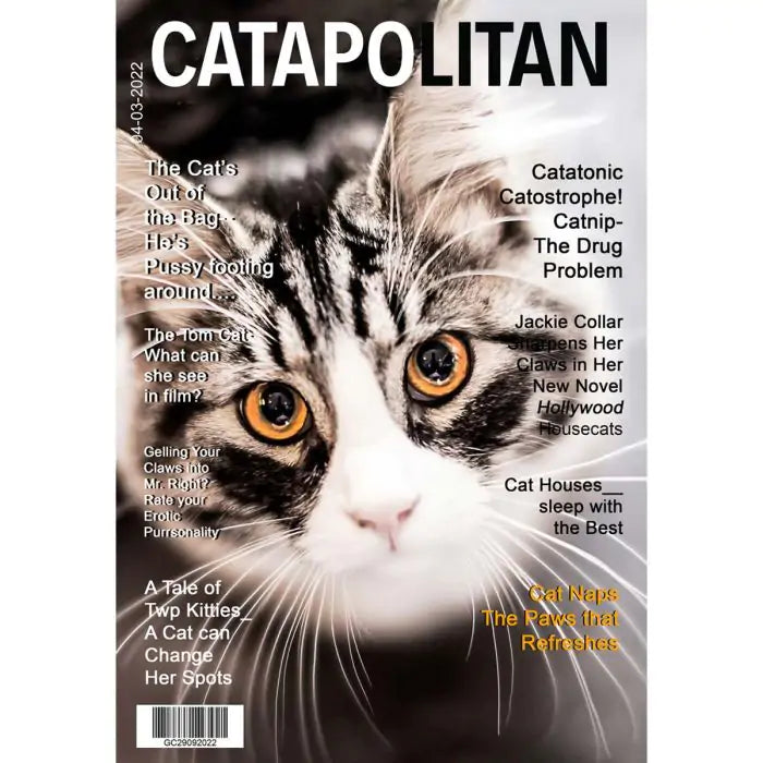 Personalised Catapolitan Magazine Cover