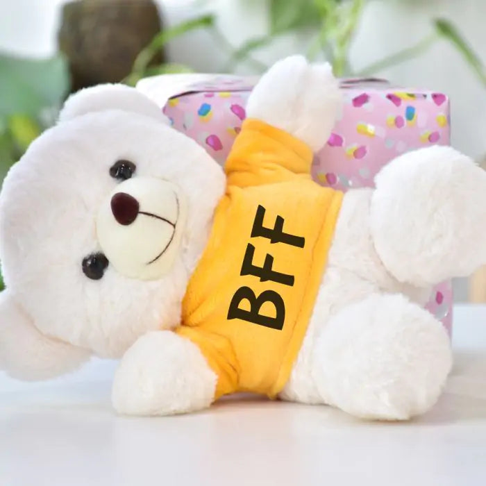 BFF White Teddy Bear for Best Friend Forever-2
