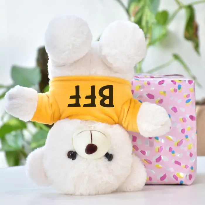 BFF White Teddy Bear for Best Friend Forever-3
