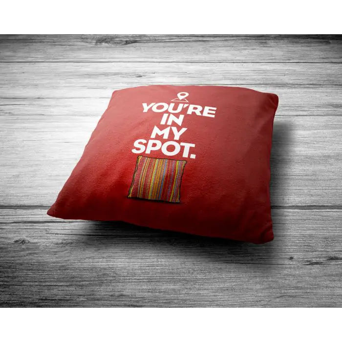 Special Sheldon Quote Cushion