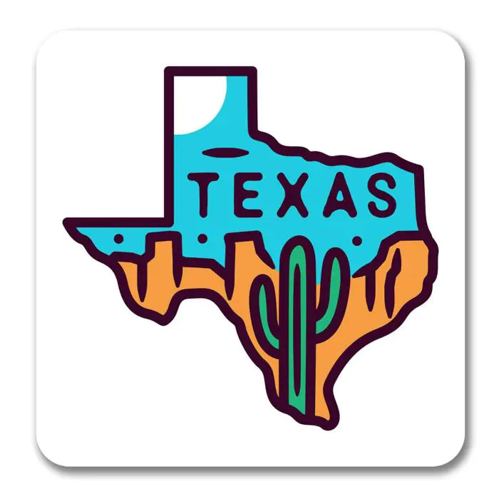 Texas Souvenir Magnet-1