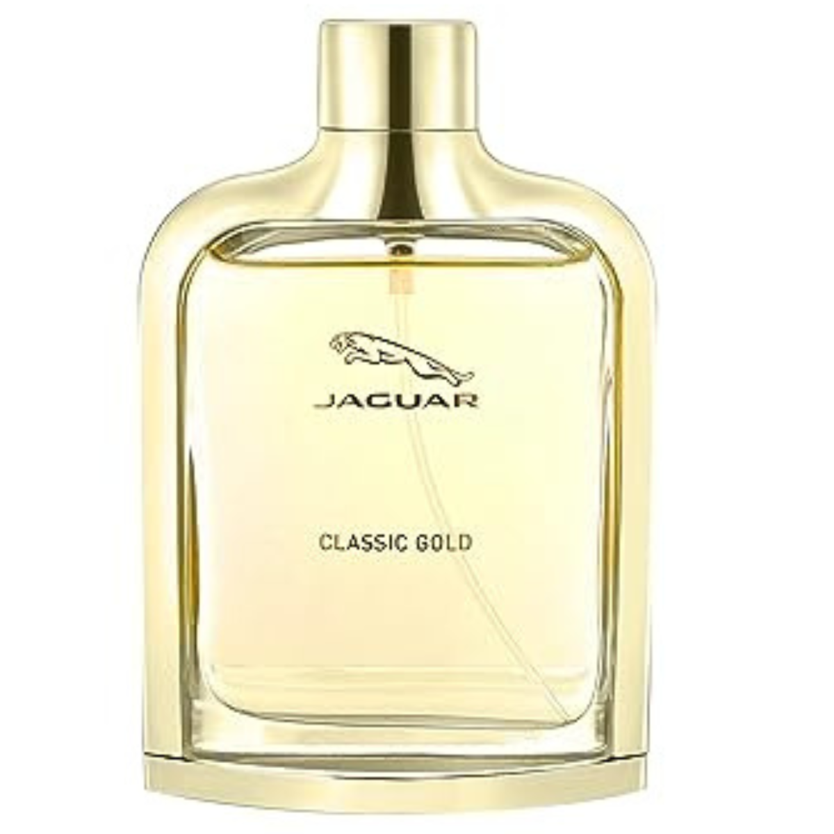 Jaguar Classic Gold 100 Ml for Men