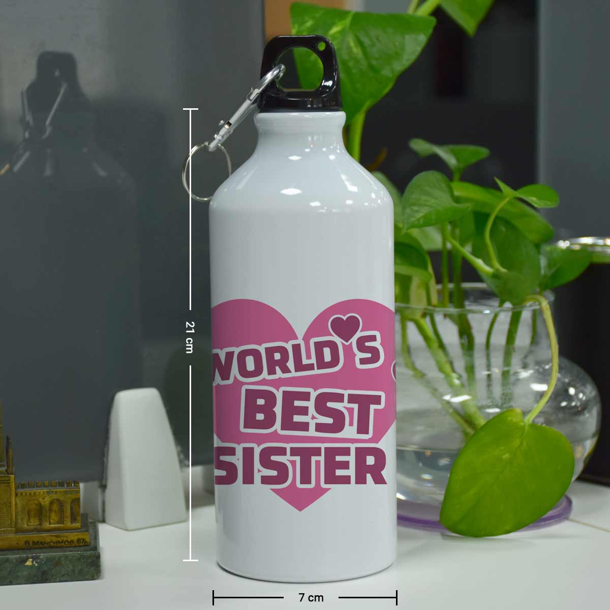 World's Best Sister Sipper Bottle