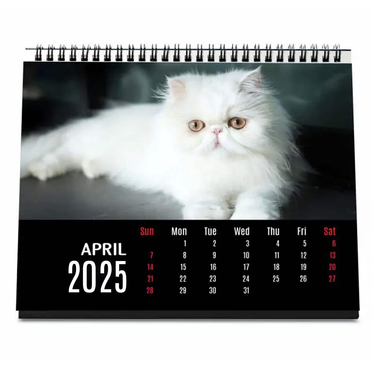 Personalised Cat Lover Calendar