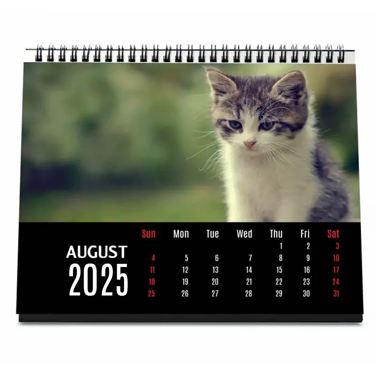 Personalised Cat Lover Calendar