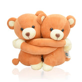 Brown Small Hug Teddy Gift For Couple, BF, GF