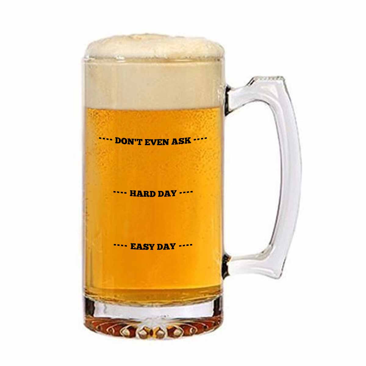 Dont Even Ask Frosted Beer Mug