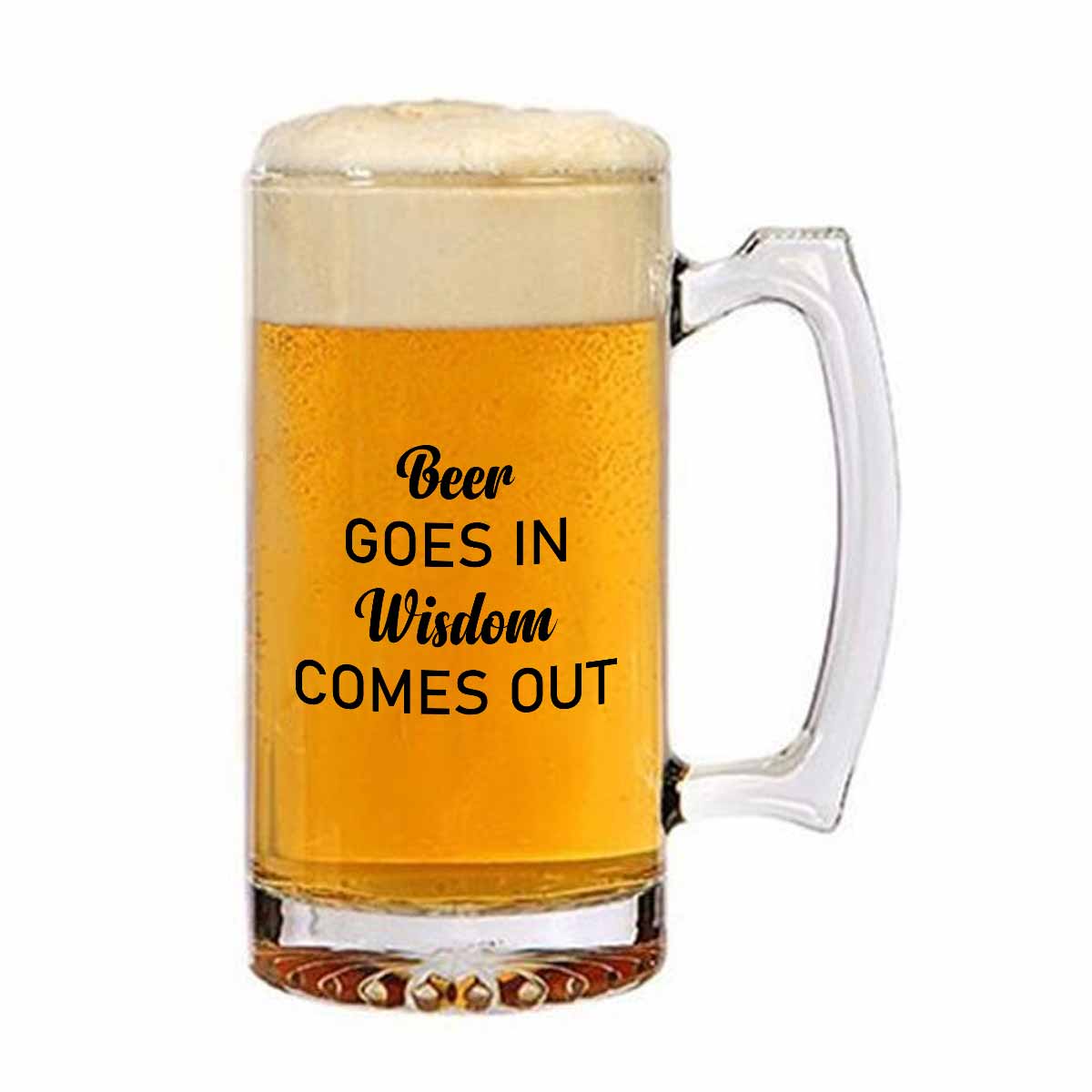 Beer Goes In Wisdom Comes Out Frosted Beer Mug