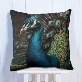 Set of 3 Beautiful Printed Peacock Cushion