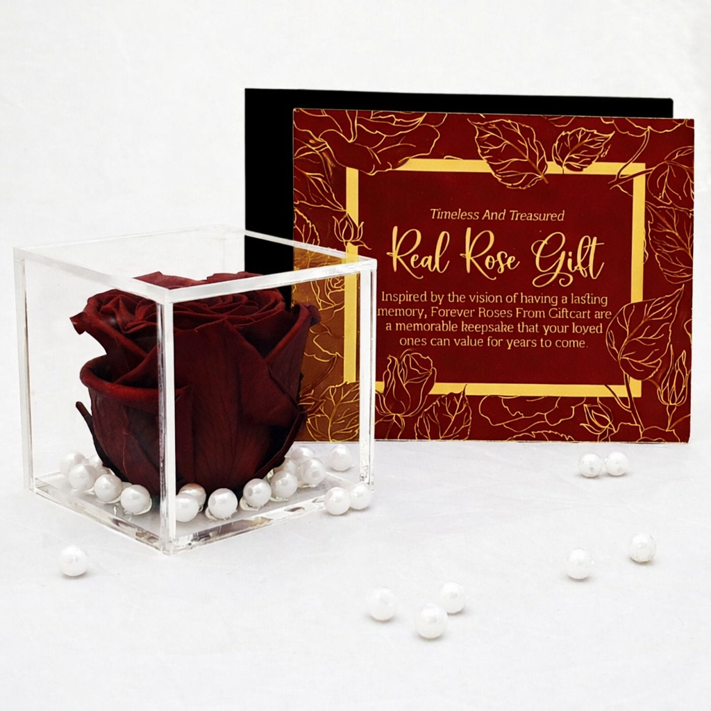 Real Preserved Forever Rose Red Online | Long Lasting Flower - Giftcart