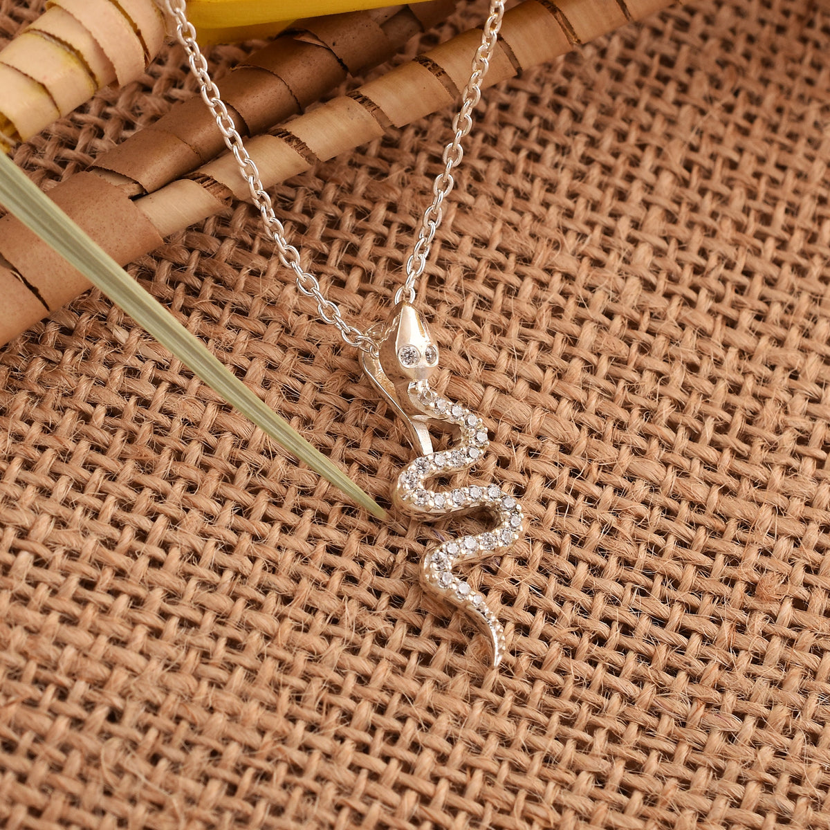 Silver Zircon Snake Pendant with Chain-1