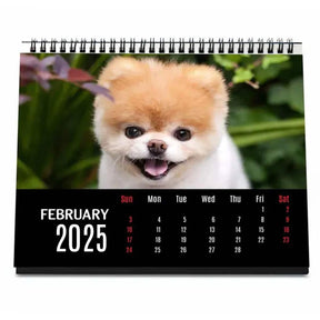 Personalised Cat Lover Calendar