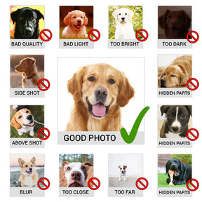 The King Pet Digital Portrait Photo Frame