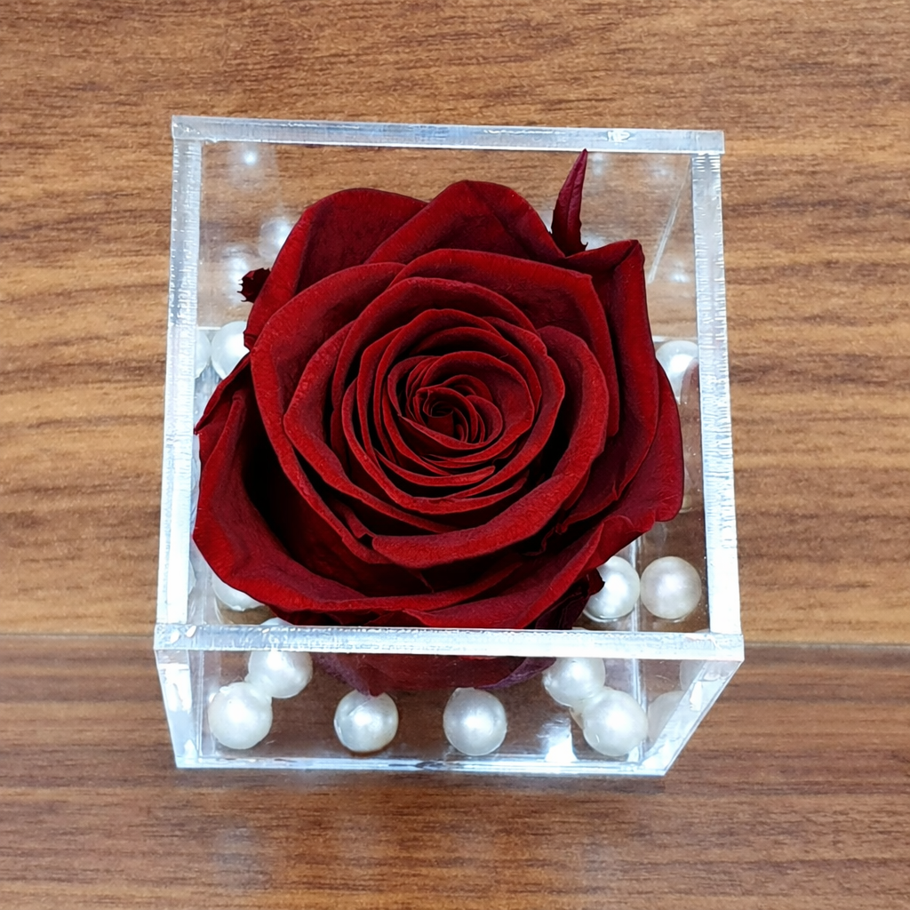 Real Preserved Forever Rose Red Online | Long Lasting Flower - Giftcart