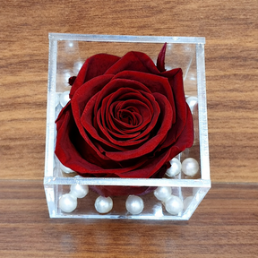 Real Preserved Forever Rose Red Online | Long Lasting Flower - Giftcart